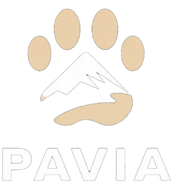 Pavia